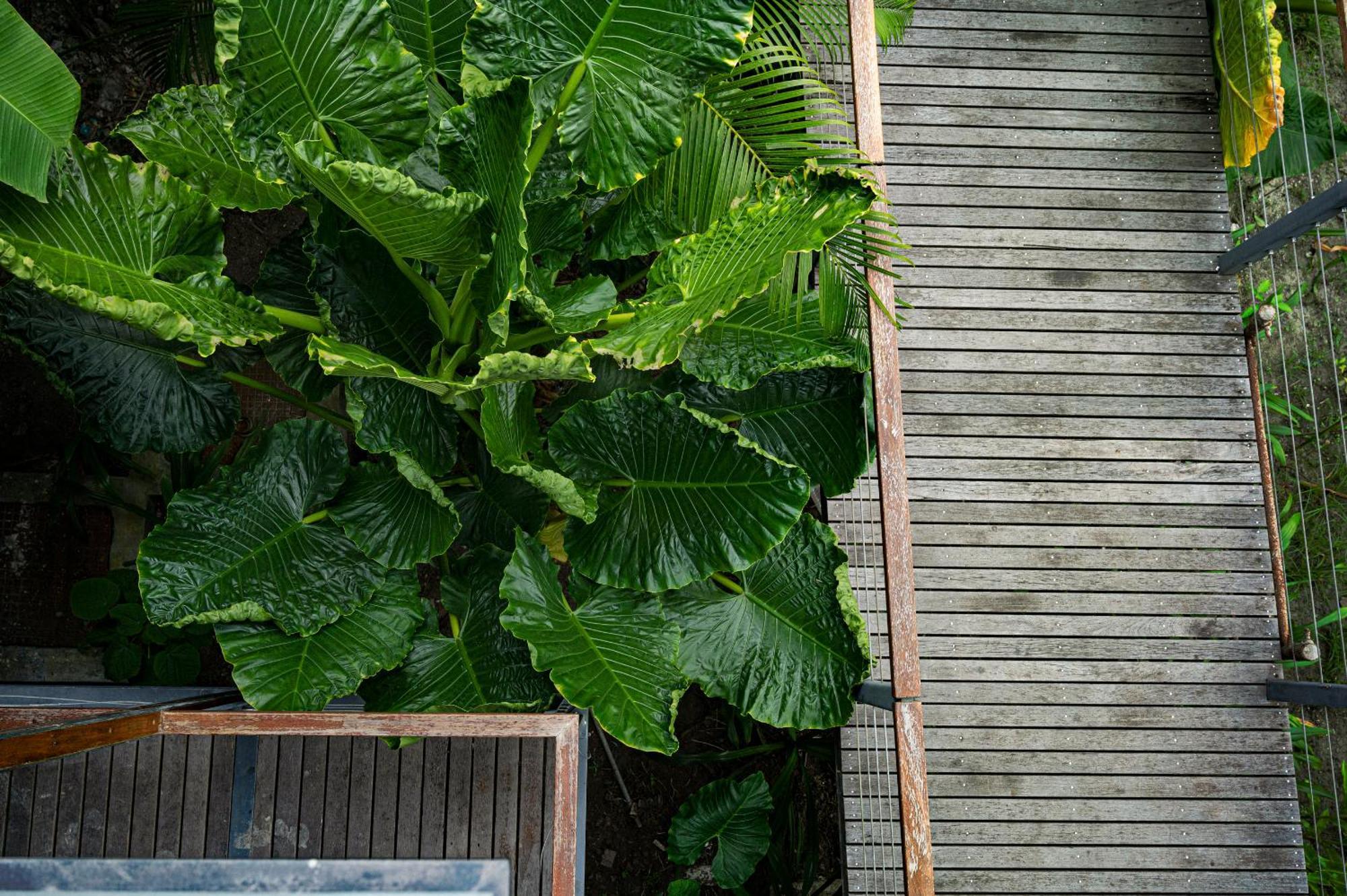 Hotel Tilar Siro Andamans - A Cgh Earth Experience Govind Nagar Zewnętrze zdjęcie